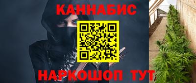 крисы Апшеронск