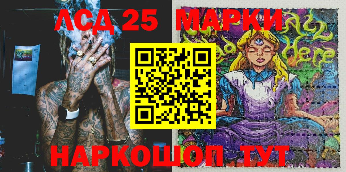 ГАШ Выборг