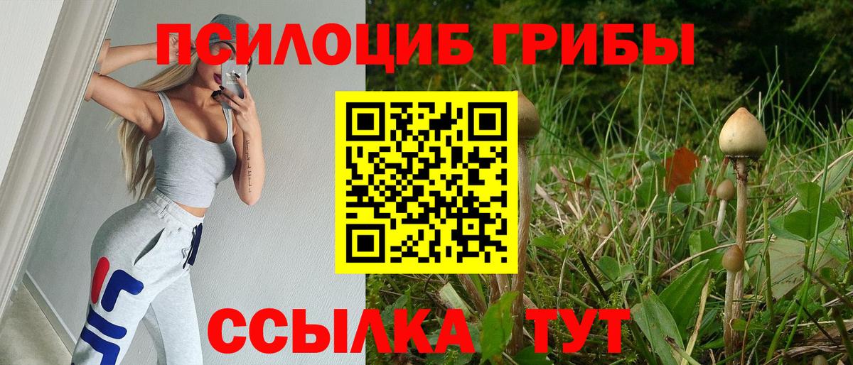 Галлюциногенные грибы ЛСД Выборг